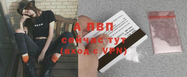 спиды Беломорск
