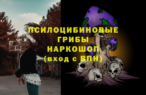 гашиш Белокуриха