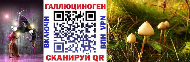 Галлюциногенные грибы мицелий  купить закладку  ОМГ ОМГ ONION  Ижевск 