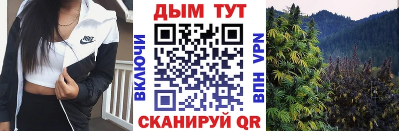 Марихуана план  цена наркотик  Ижевск 